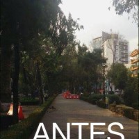 El patrimonio ambiental de la ciudad de México, en manos rapaces Mixcoac-tala_Antes